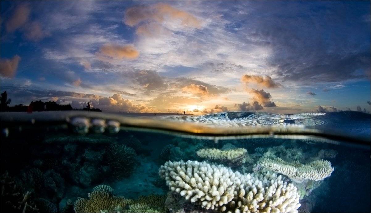 мазможно, Нетушки