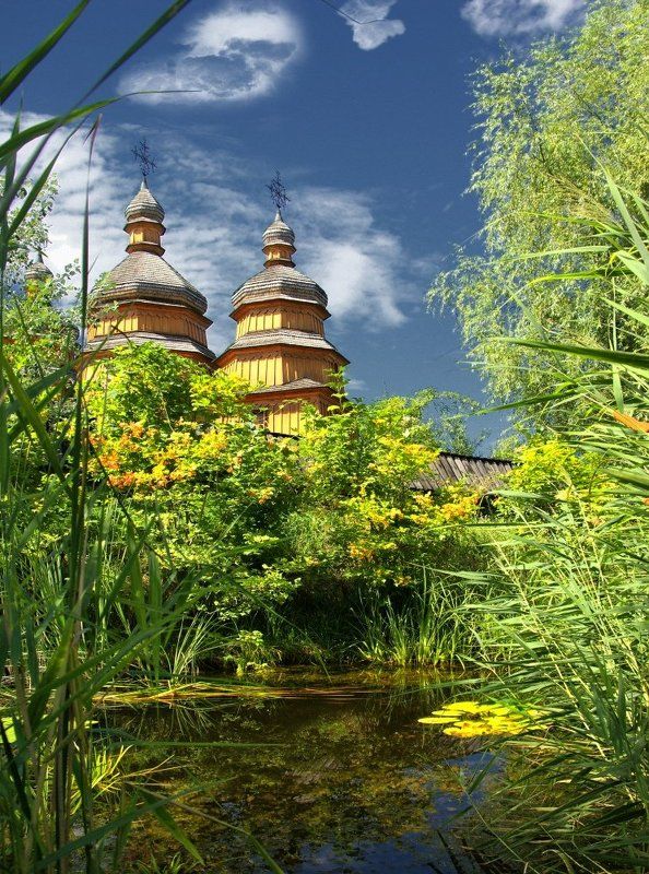 Ставок фото превью