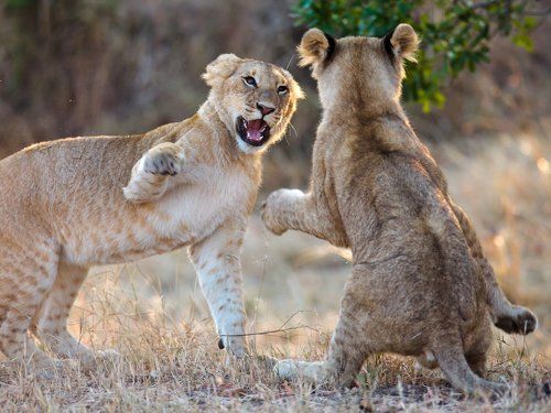 Непростой разговор.