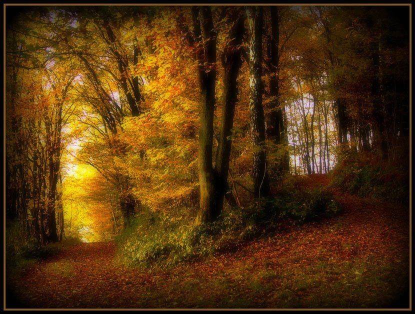 , Павел Хлыпенко