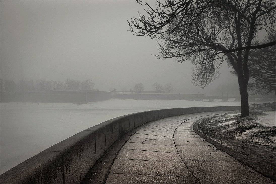 питер,туман, Аркадий