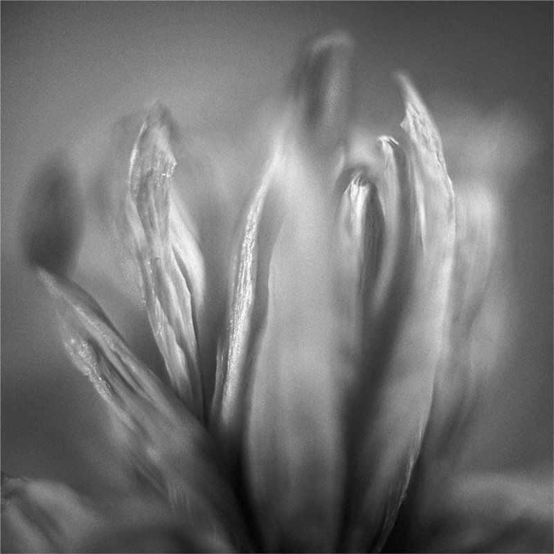 **** фото превью