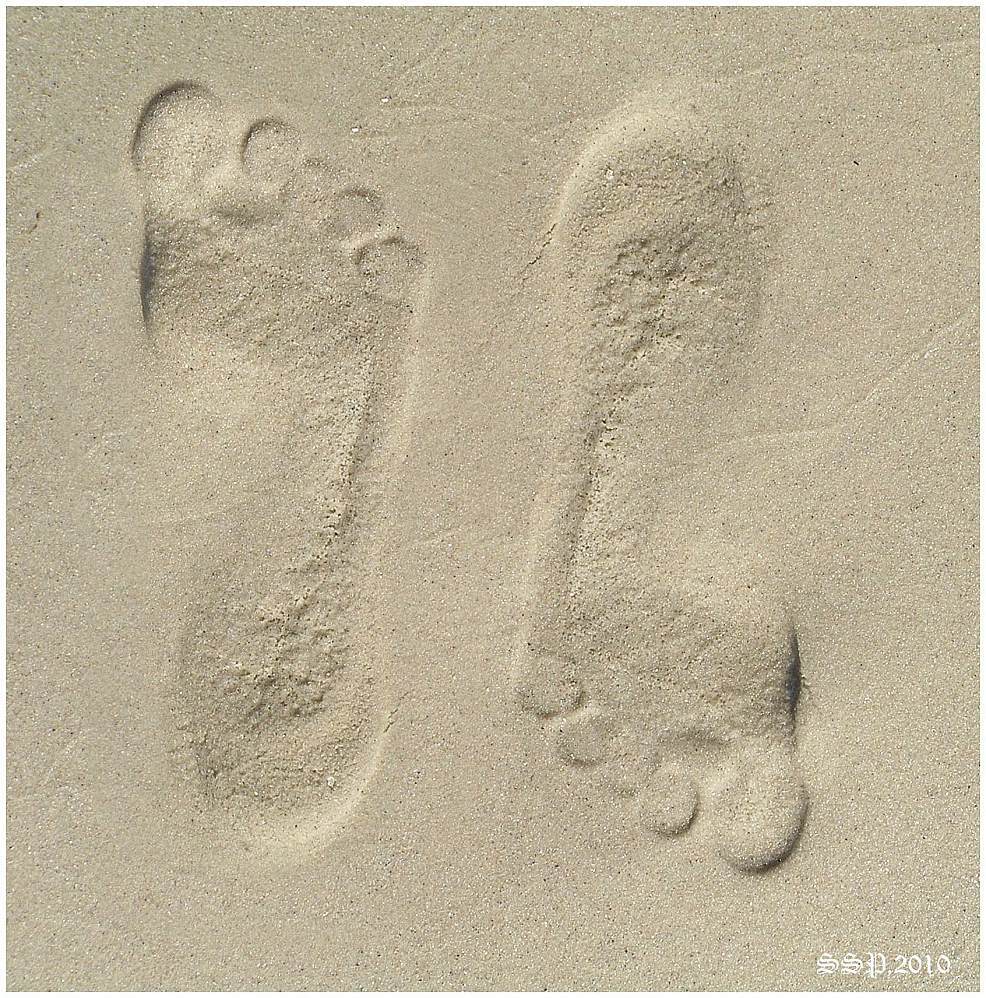 , СЕРГЕЙ СВИРИДОВ(Klematis)