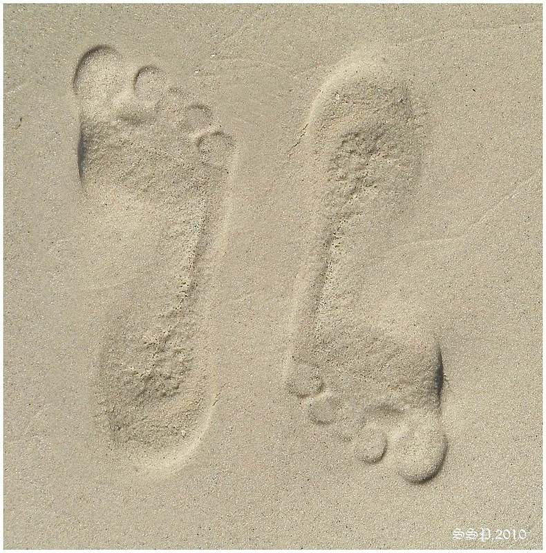 ...СЛЕДЫ... фото превью