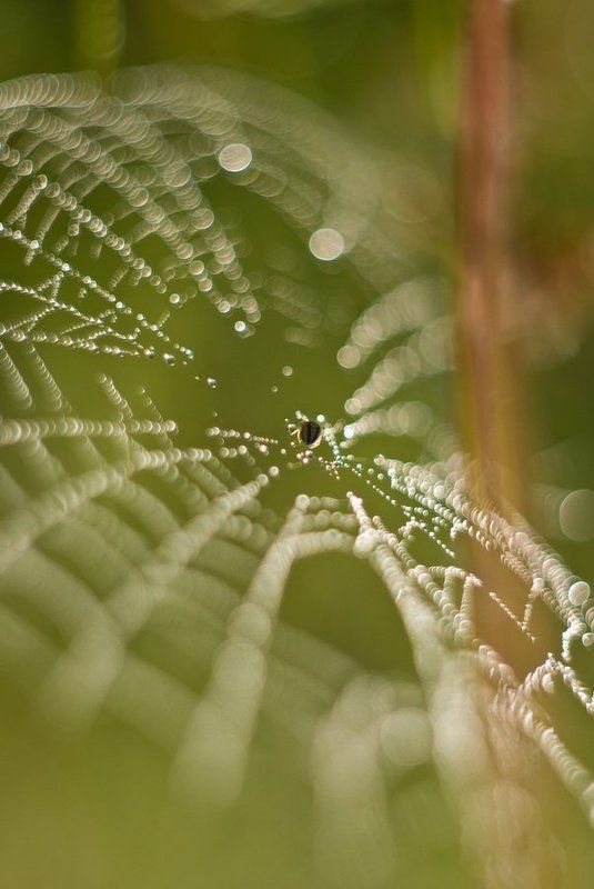 Воздушно фото превью