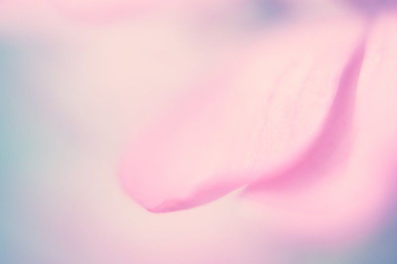 untitle фото превью