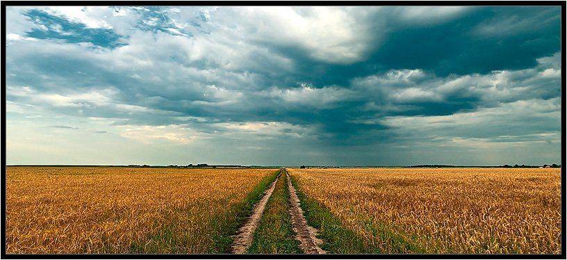 , Поліщук І.В.