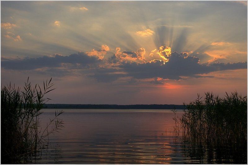 *          *           * фото превью