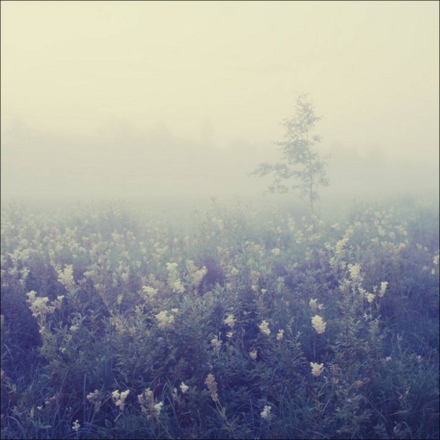 , Сергей Чубаров