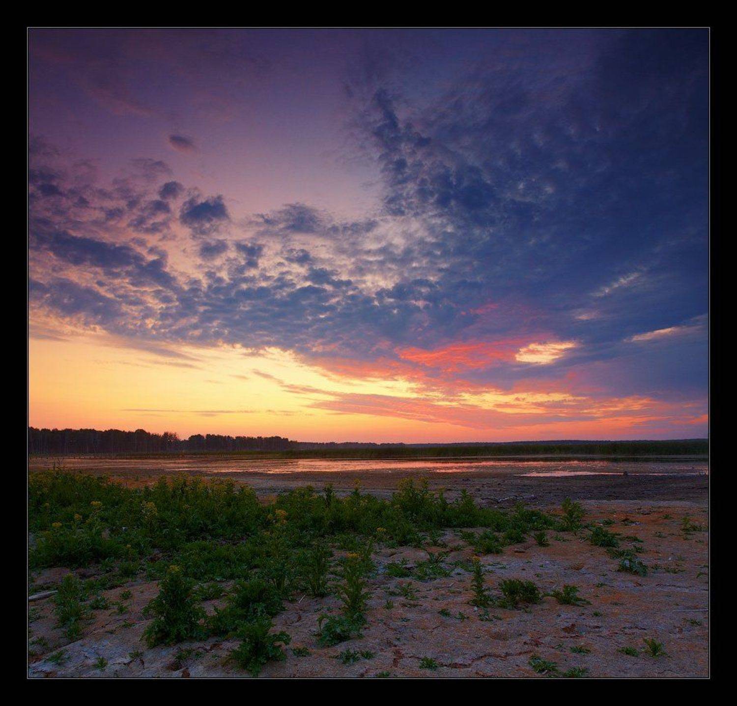 , Данил Ромодин