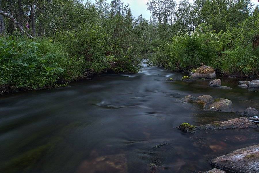 кольский, полуостров, locus