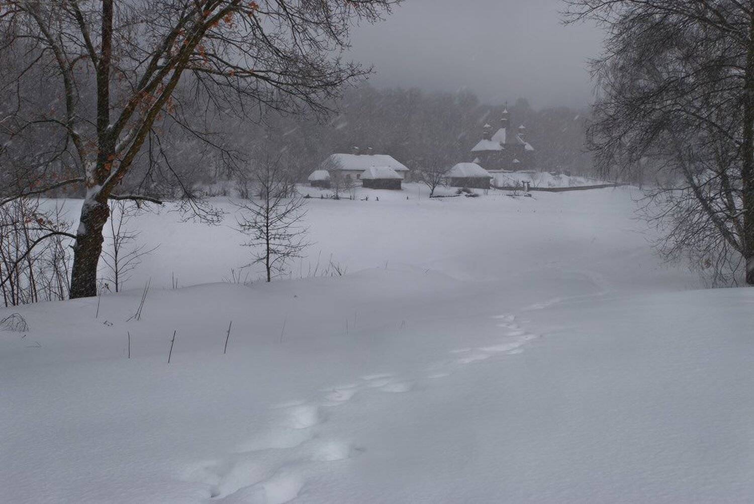 , Михаил Мочалов