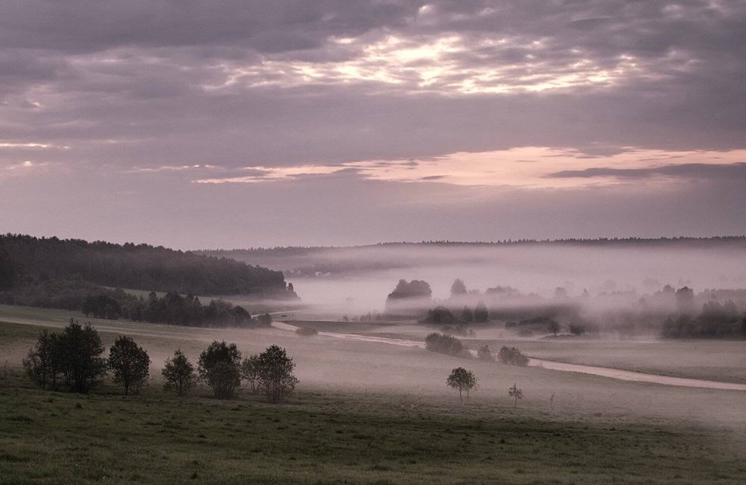 , Максим Евдокимов