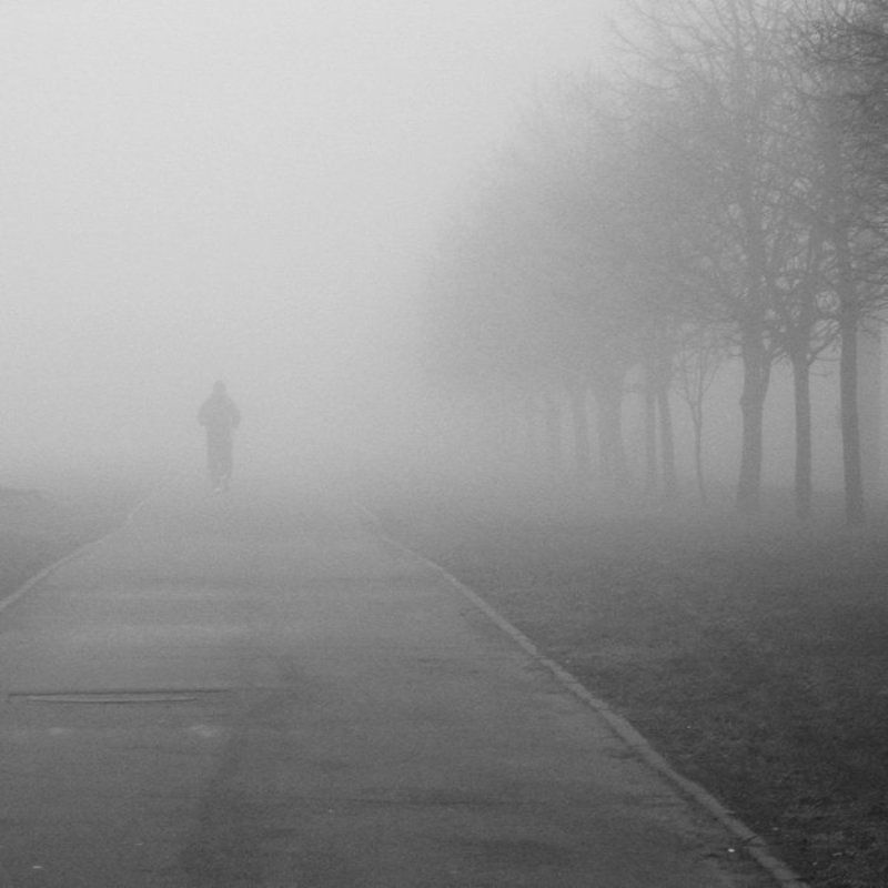 март. утро фото превью