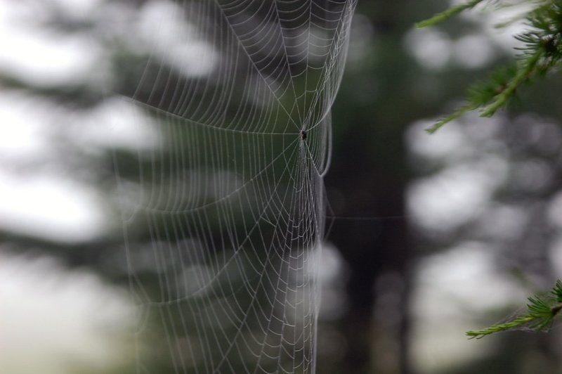 граница фото превью