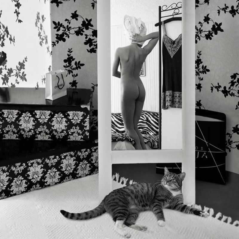 про ...кота... фото превью