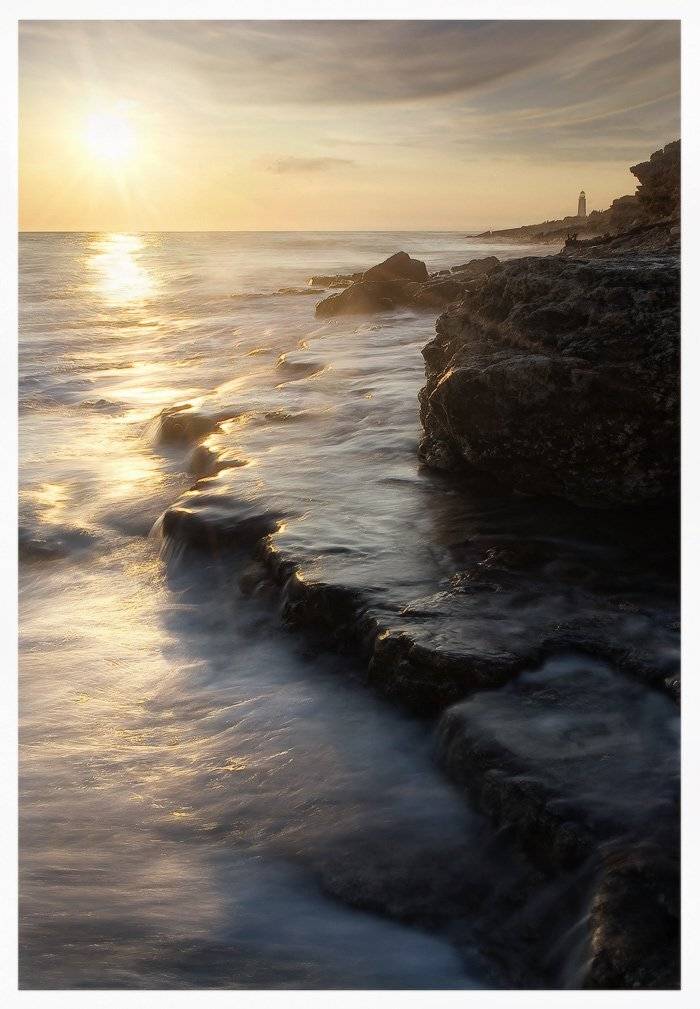 , Яна  Гайворонская