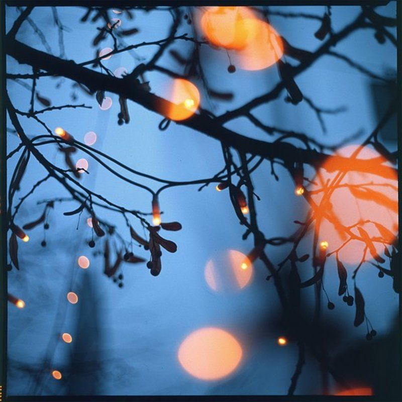 film,6x6,bokeh,arsat,fuji fireflies фото превью