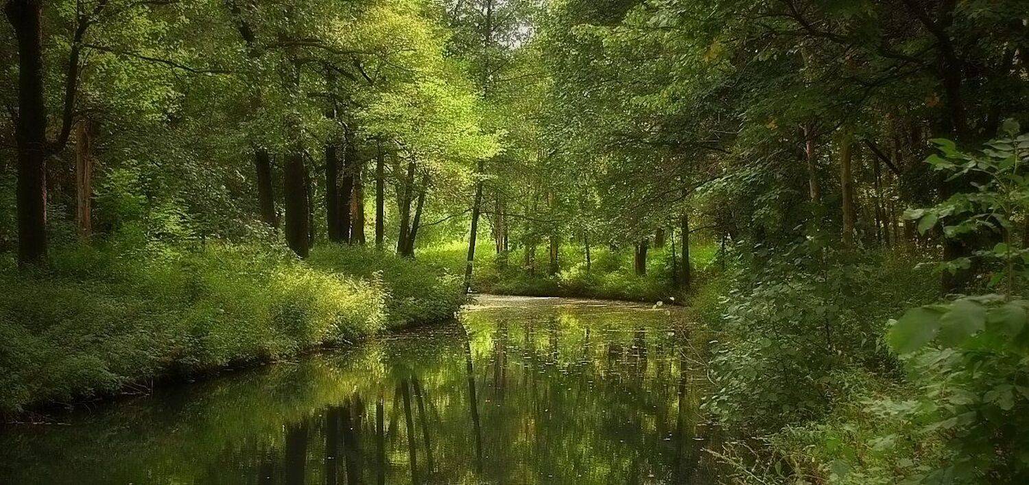 парк., Александр