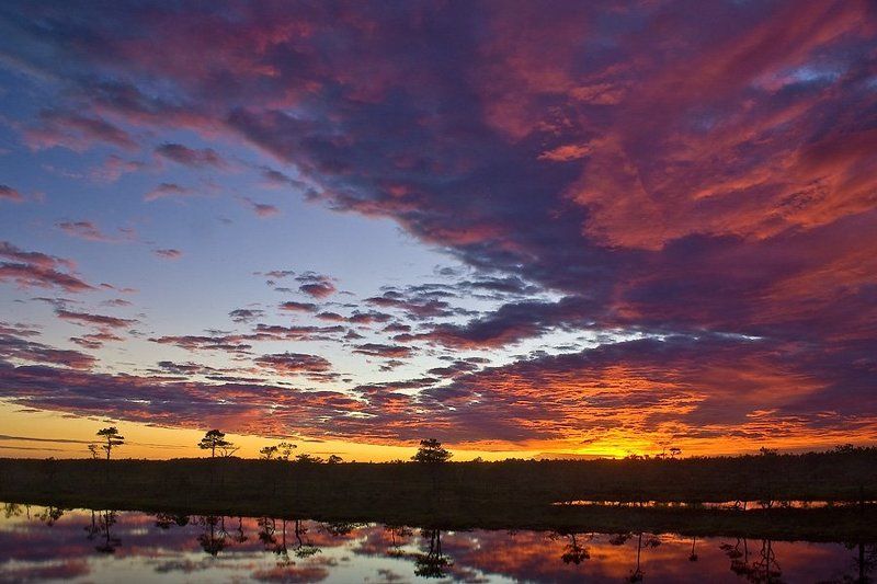 пейзаж, игорь, вишняков, природа, рассвет, никон *** фото превью