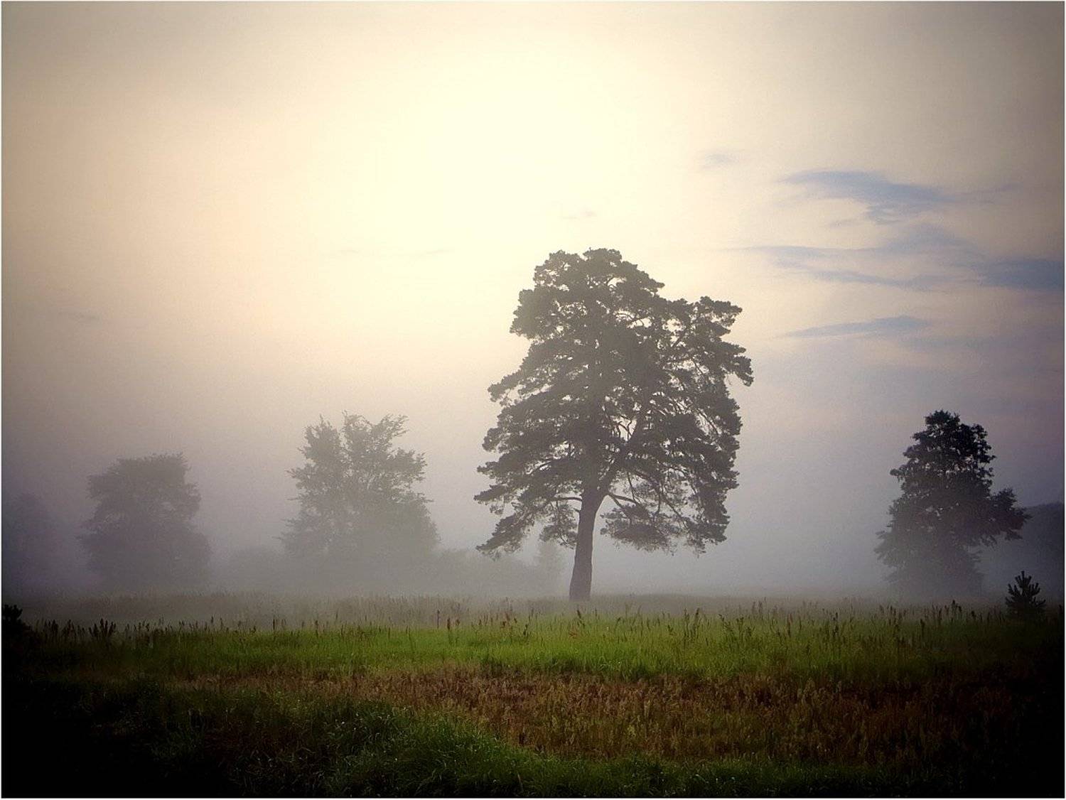 , Клюшкин Юрий