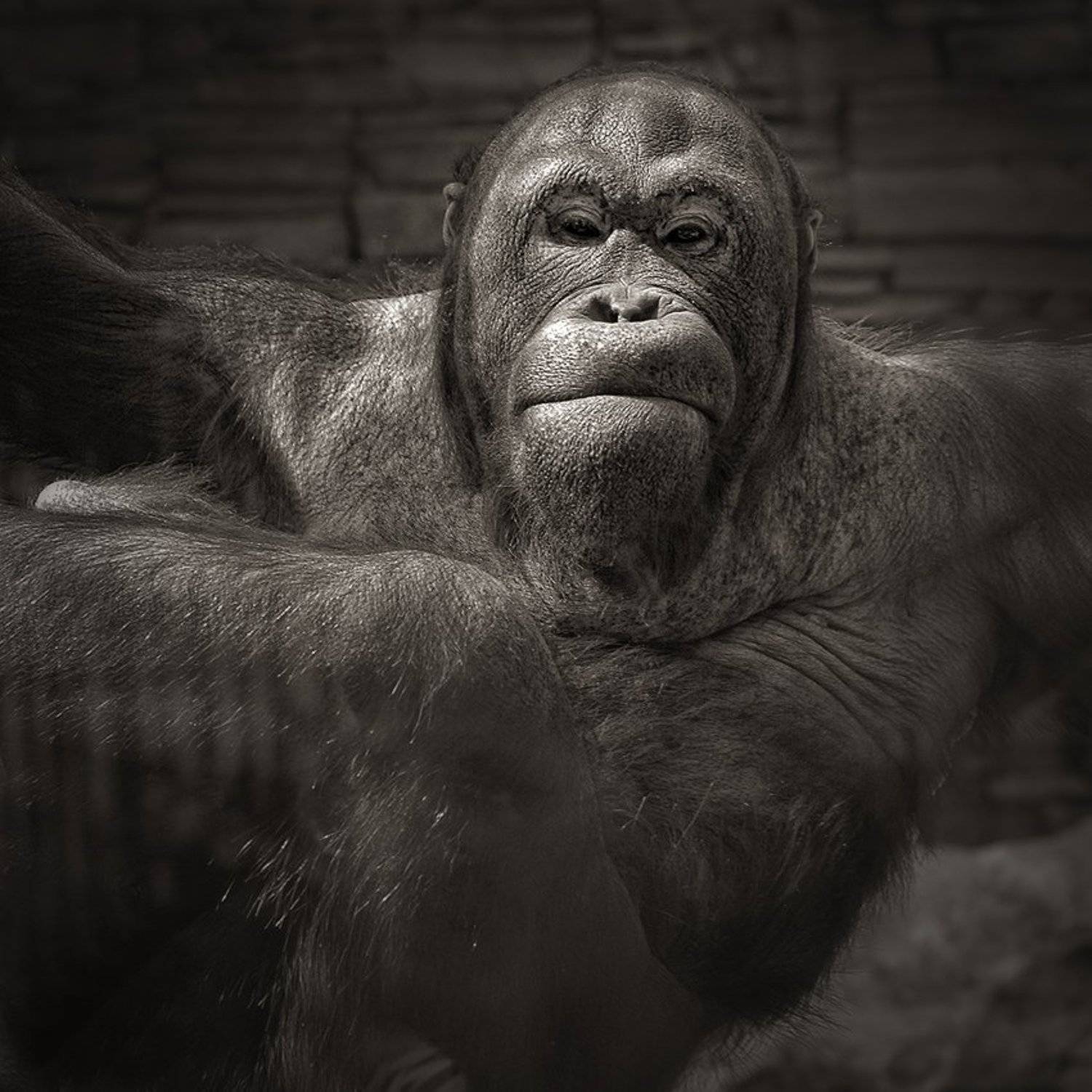 , Андрей Романов