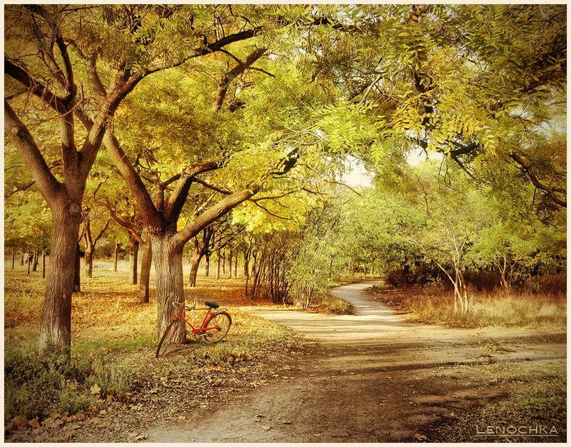 парк, велосипед, дорожка, осень Осенние прогулки фото превью