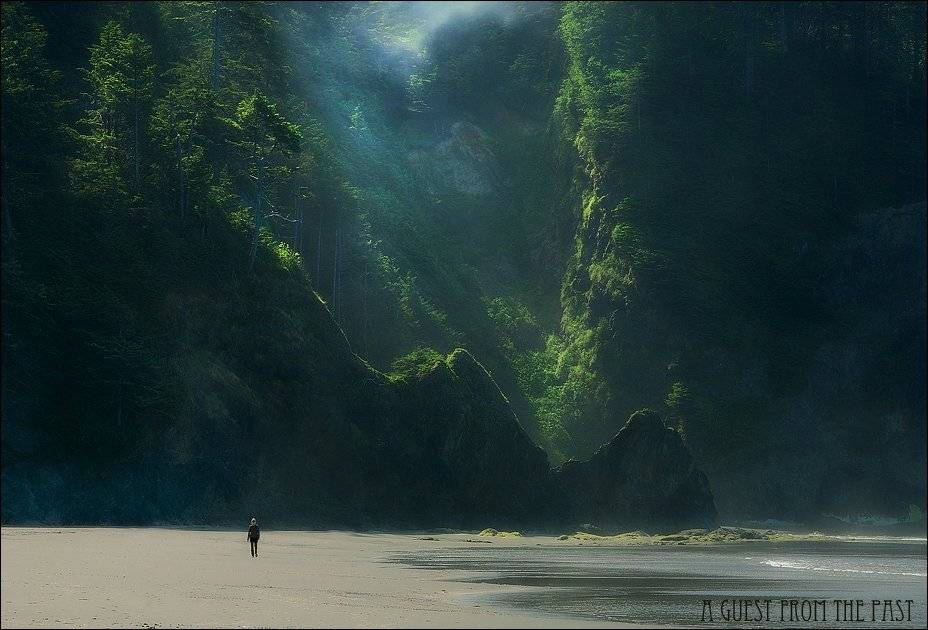 second beach, olympic national., Ben Marar