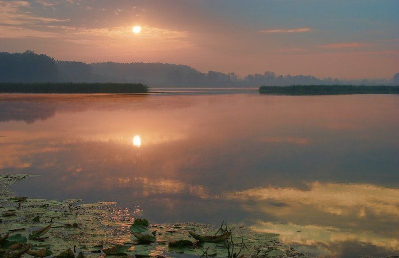 Утро на Щучьем фото превью