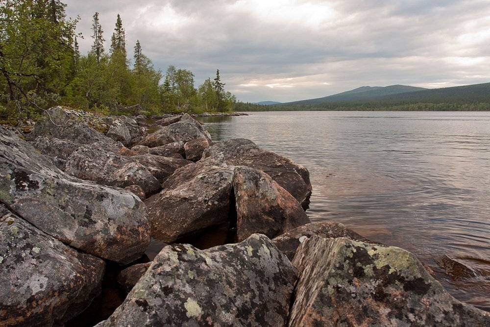 кольский, полуостров, locus