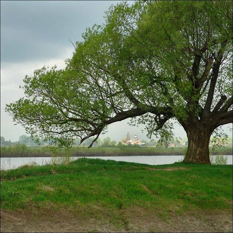 рязанщина, Тарасов Алексей