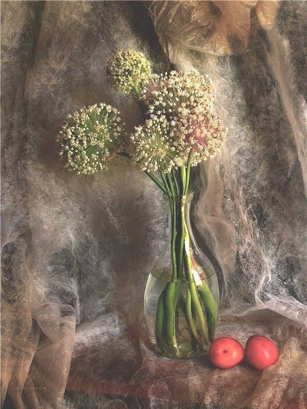 , Лариса Запатрина