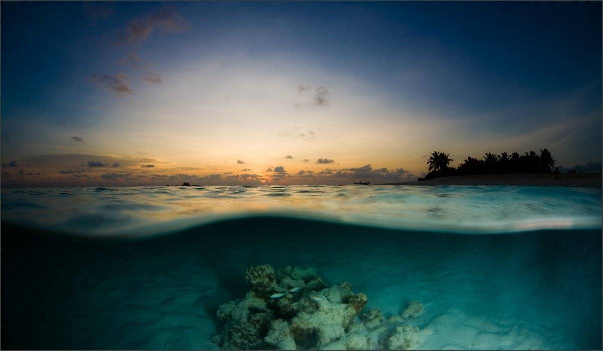 сначала_бог_создал_небеса_и_землю, Нетушки