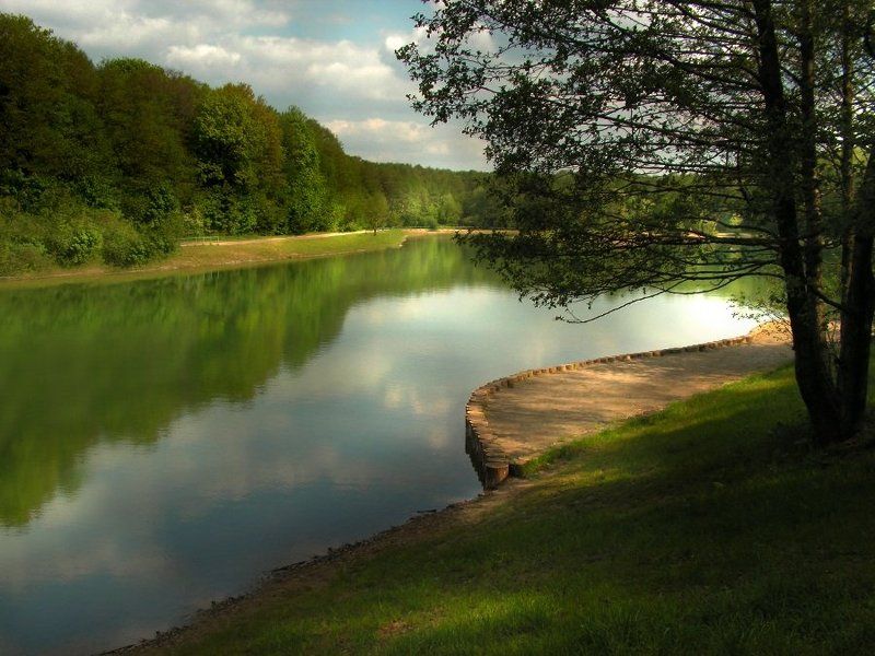 - Есть в старом парке старый пруд. Там лилии цветут.. - фото превью