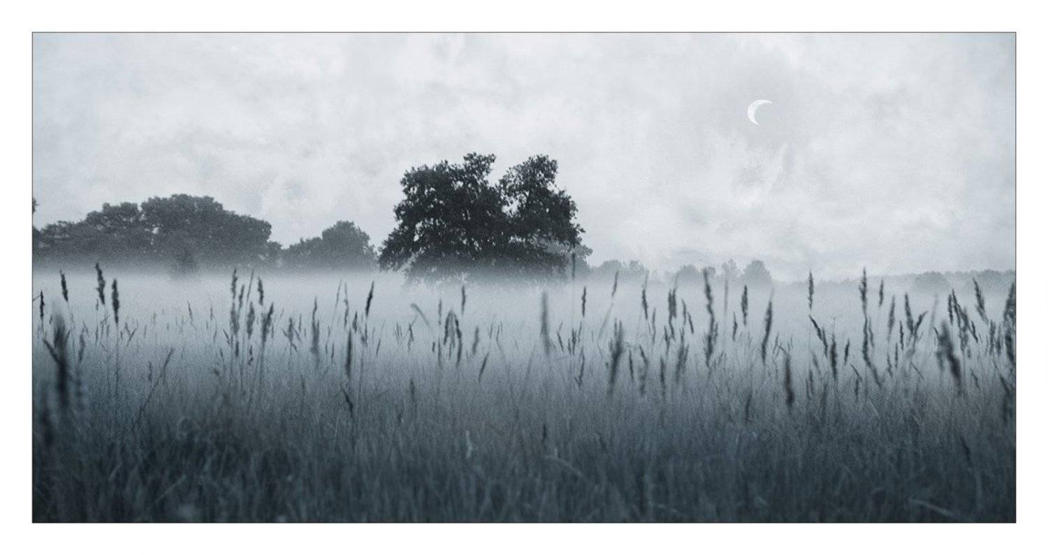 , Алексей Тувин