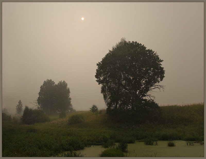 Время дымных пейзажей фото превью