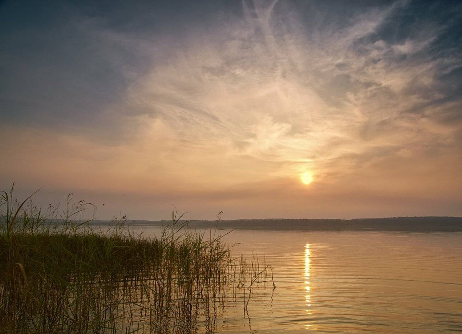, Максим Евдокимов