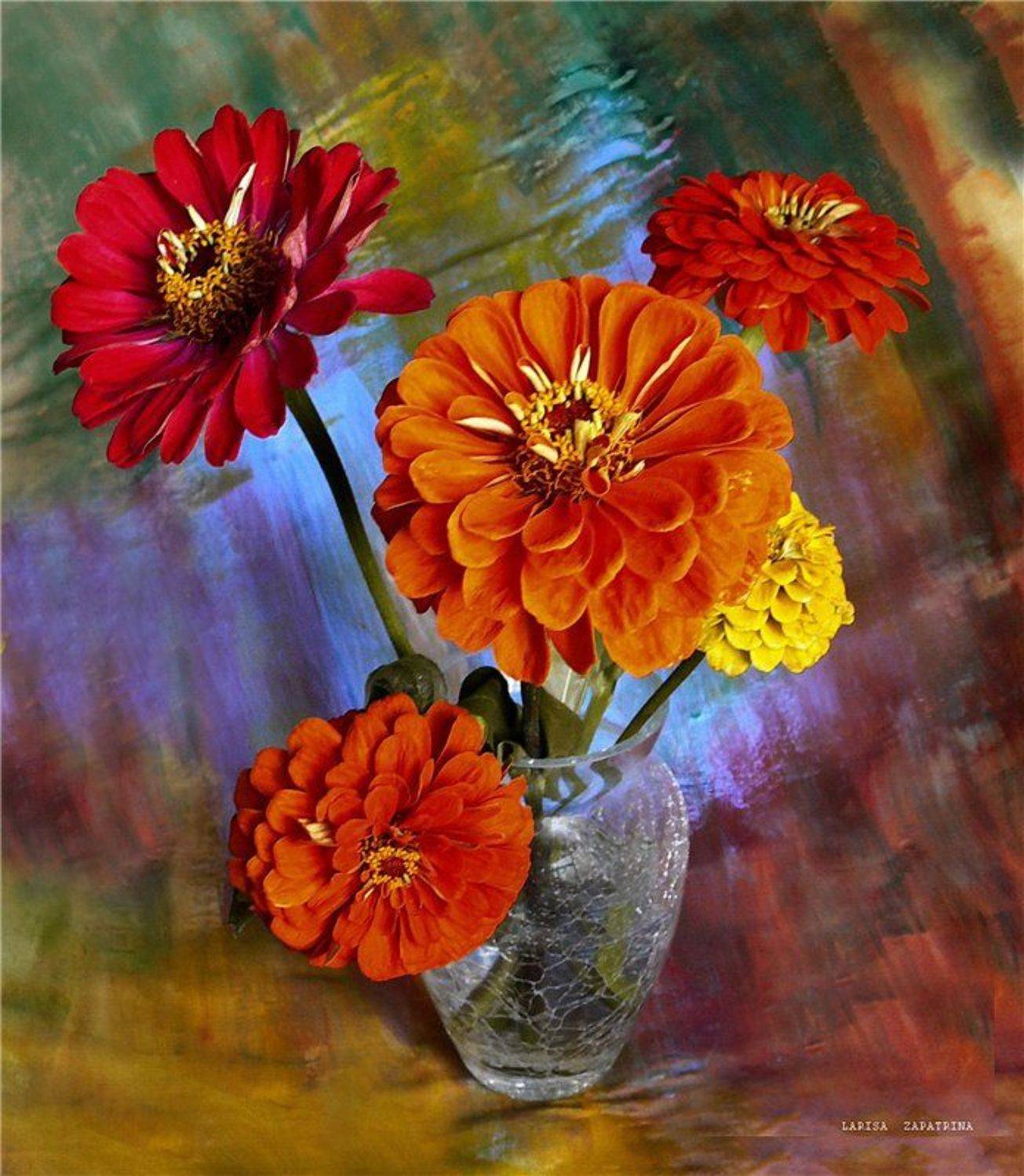 , Лариса Запатрина