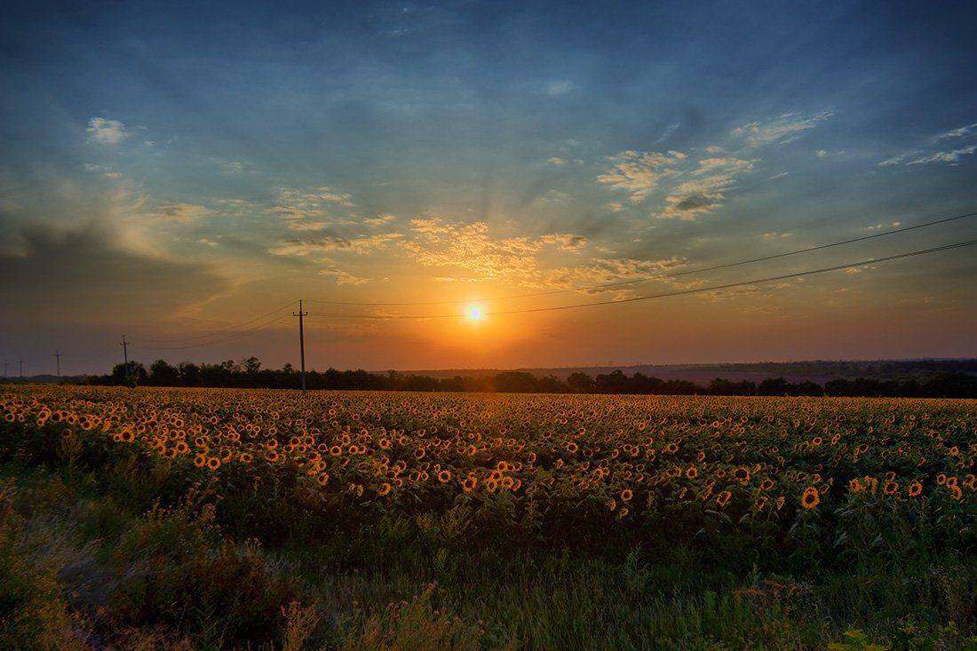 , Александр