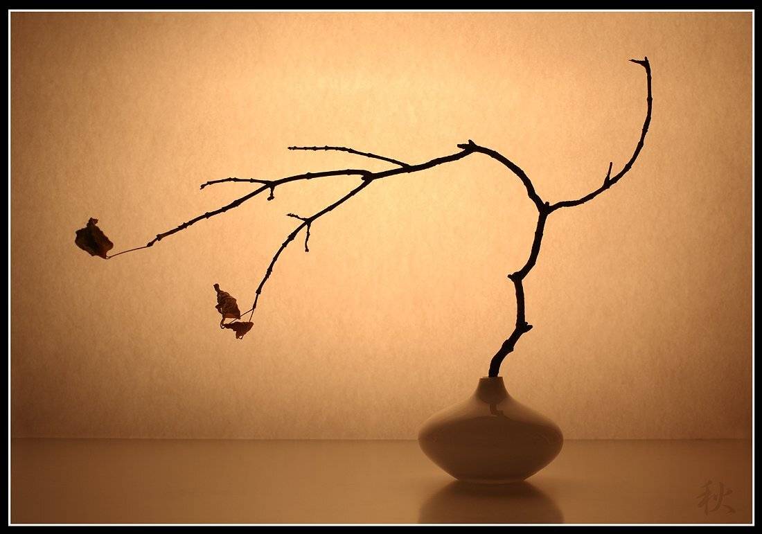 , Вика Иванова