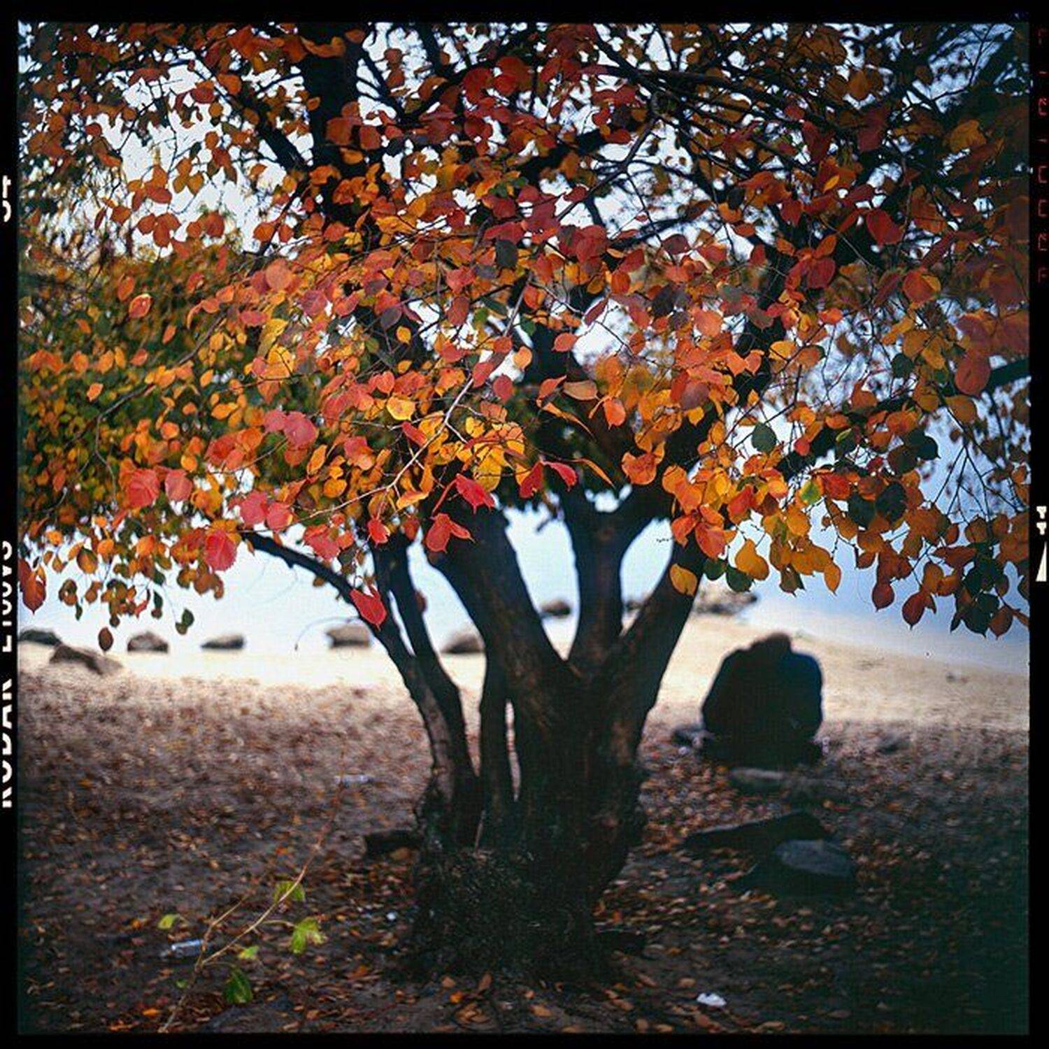 film,6x6,kiev88,arsat, Денис Альбертович