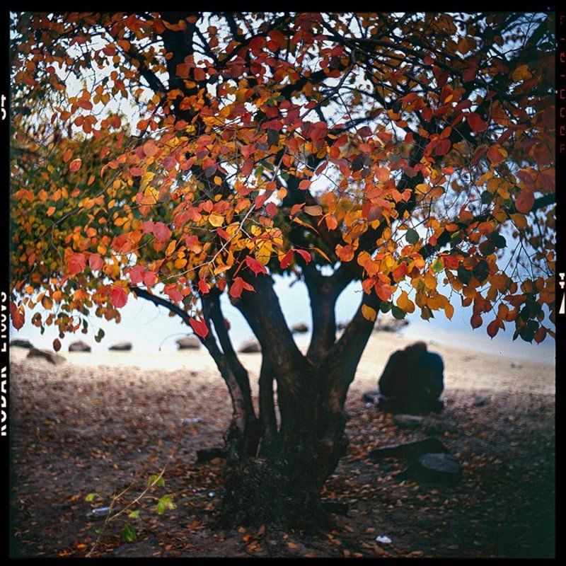 film,6x6,kiev88,arsat Old couple фото превью