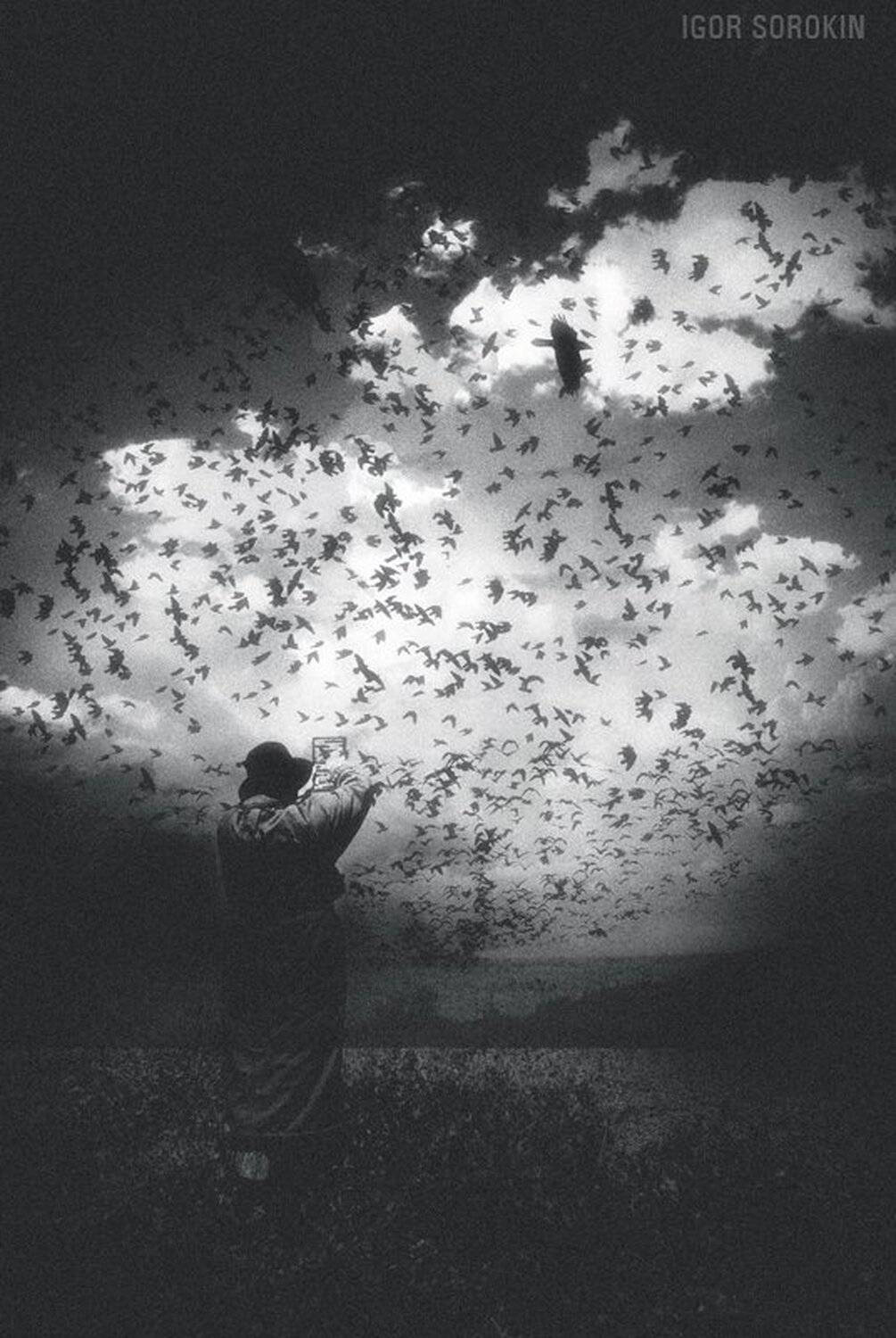 , Игорь Сорокин