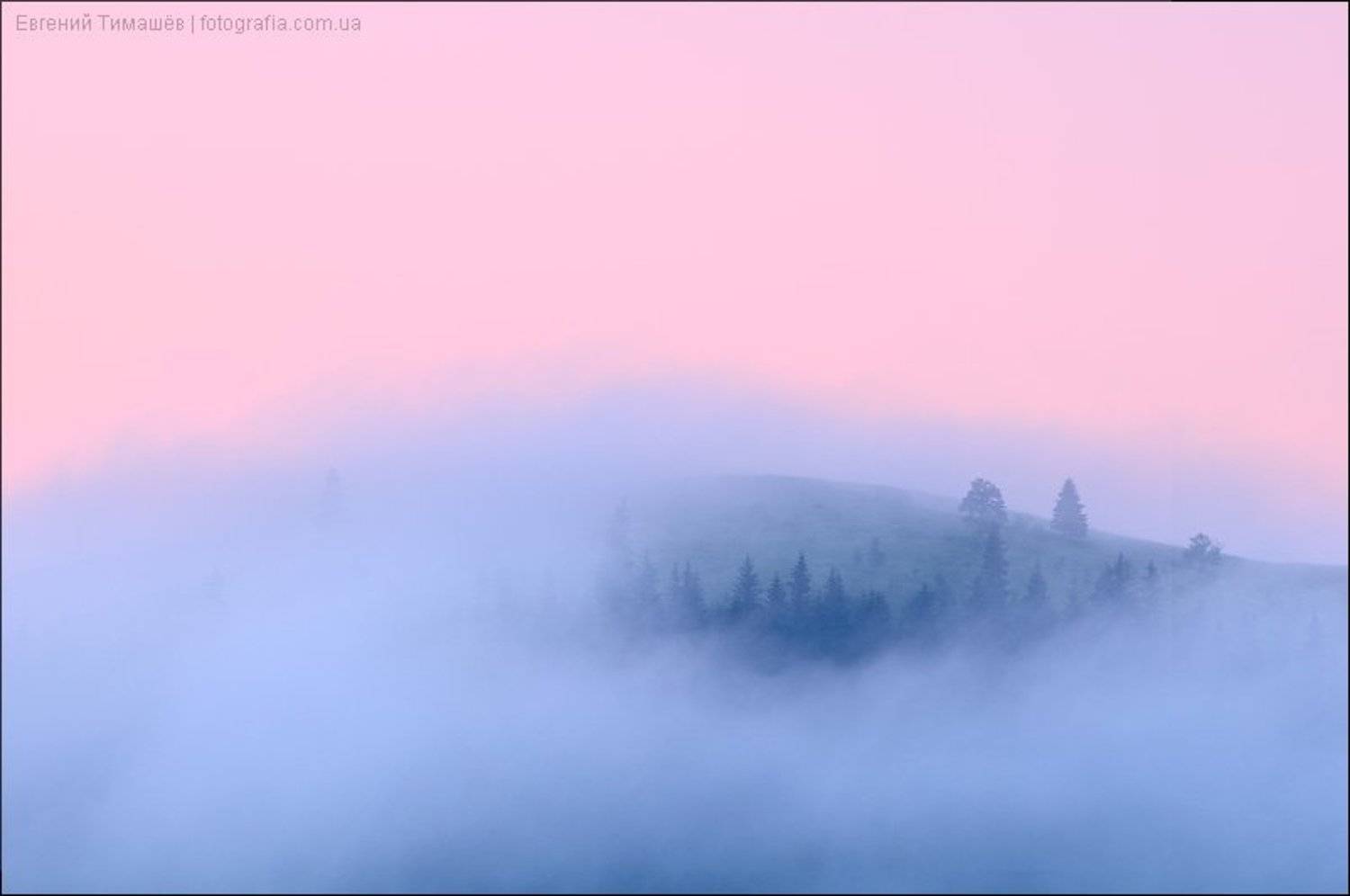 , Евгений Тимашёв