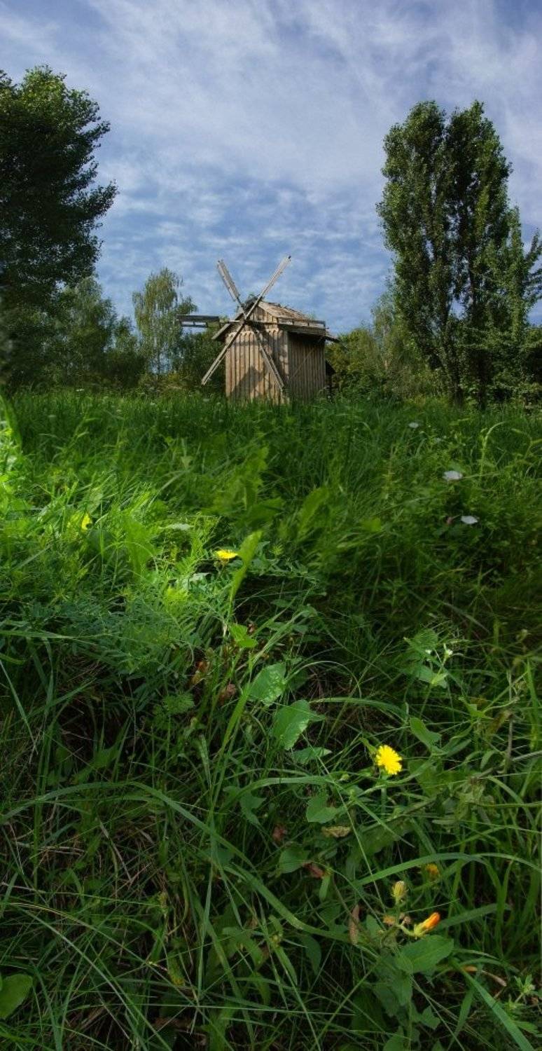 мельница, Tina Grach