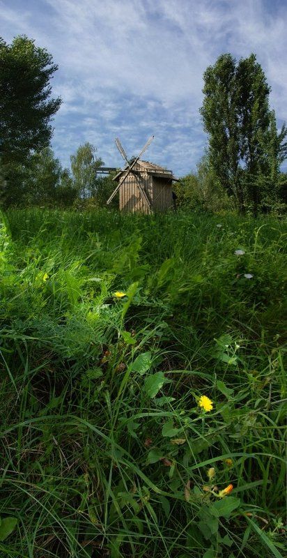 мельница Мельница фото превью