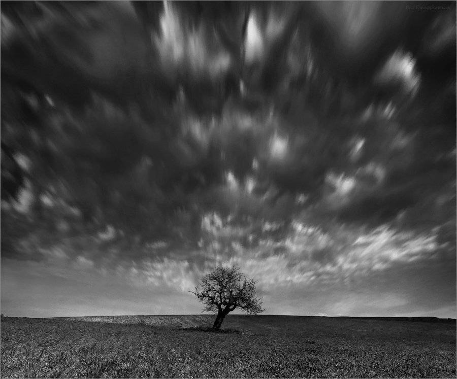 , Яна  Гайворонская