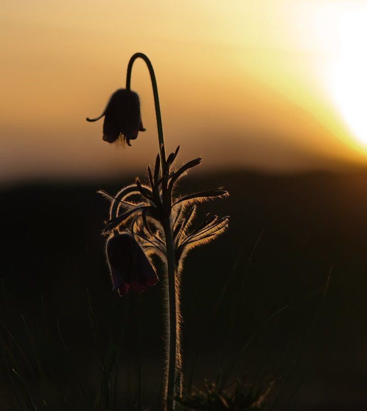 А завтра снова мы проснемся... фото превью