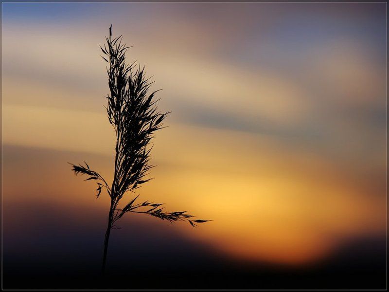 В небо голубое руки протяну,.... фото превью