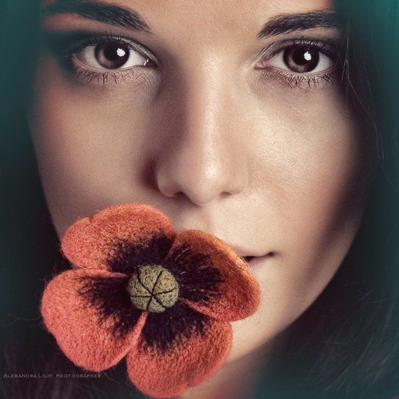 войлочные маки фото превью